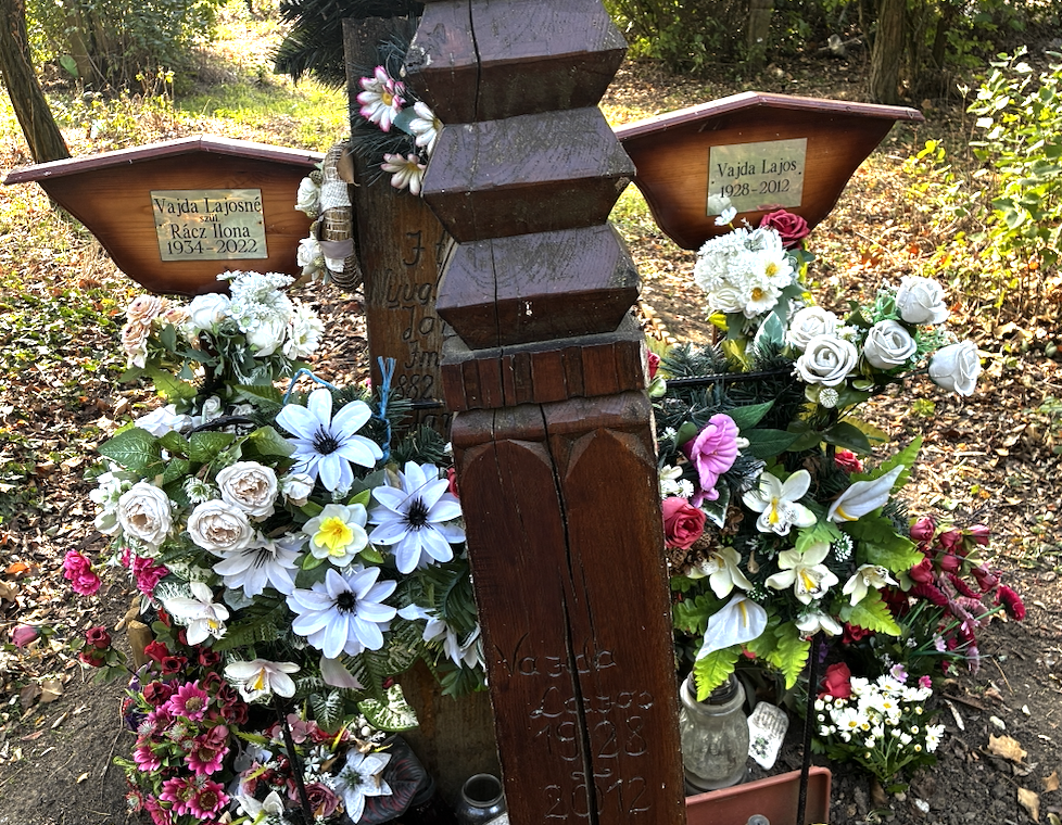 kronobiológia, családállítás, jövő, tudatosság